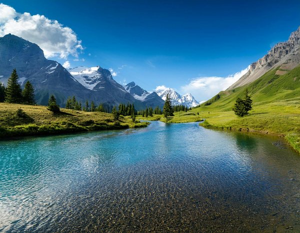 Descubra como o camping pode ser sua fuga perfeita da tecnologia!